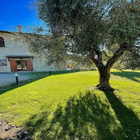 Todi By The Pool Villasleeps 10exclusive Poolwalk To Todi Restaurant Отель Petroro